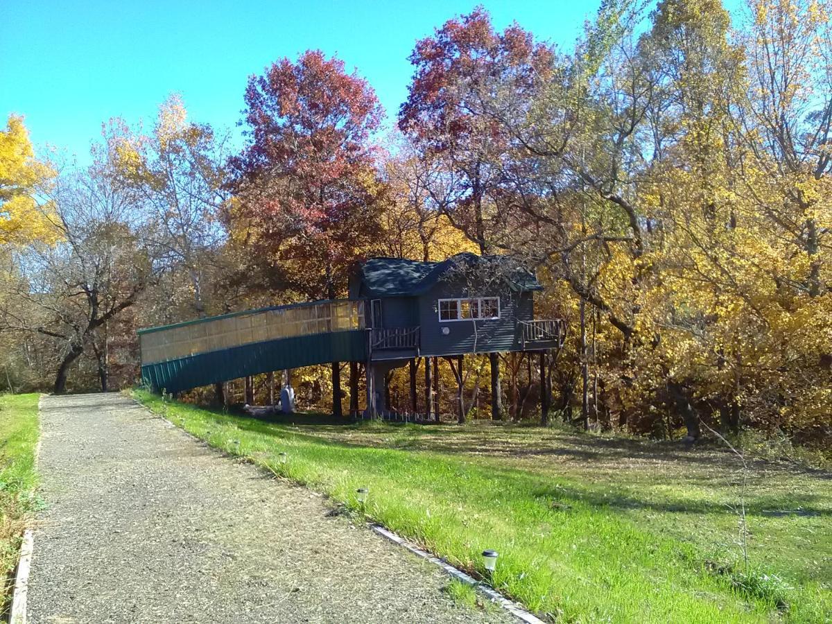 Peaceful Valley Haven Tree House Westby Exterior photo