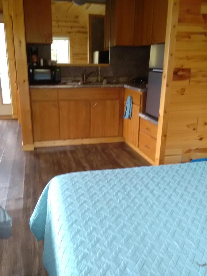 Peaceful Valley Haven Tree House Westby Exterior photo