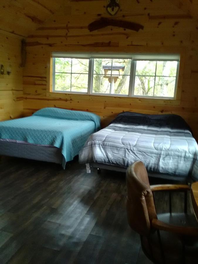 Peaceful Valley Haven Tree House Westby Exterior photo